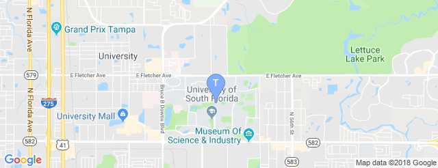 The Yuengling Center